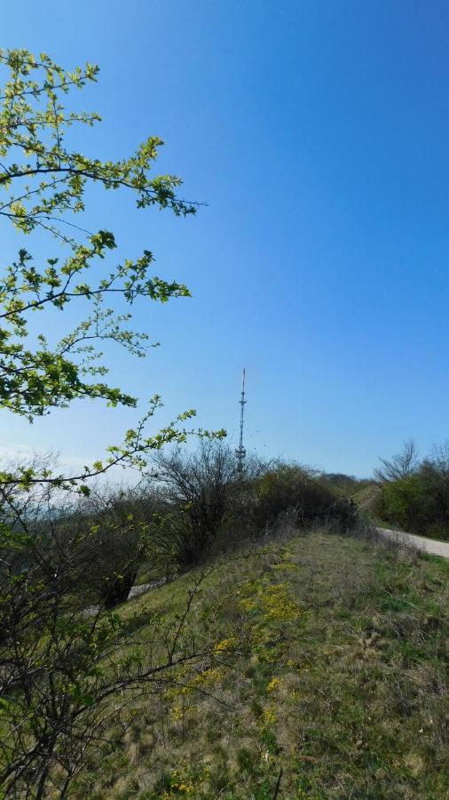 Gasthof Gruener Baum Oberlangfurth المظهر الخارجي الصورة